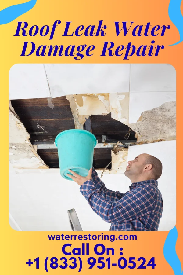 Roof Leak Water Damage Repair in Rockwell Place, TX